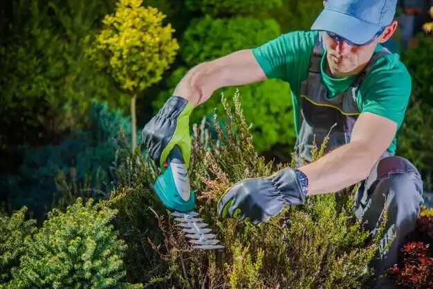landscaping services Pelham Manor